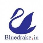Bluedrake, BHUBANESWAR, logo