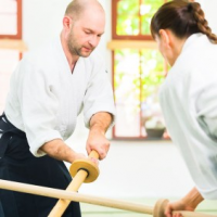 Eight Star Martial Arts, LLC/Red Dragon Karate School, Ballston Spa Eight Star Martial Arts, LLC/Red Dragon Karate School, Ballston Spa