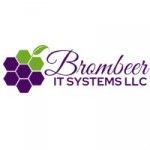 Brombeer IT Systems LLC, Abu Dhabi, logo