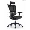 Ergonomic Chair and Executive Chair