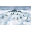 Blue forest in the fog wall mural