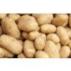 Fresh organic potatoes from Bangladesh 🇧🇩