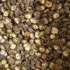 Dehydrated Dried Shiitake Mushroom Lentinus Edodes