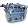 Diesel Engine Generator (DG Engine)