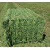 Buy Alfalfa Hay Online. Alfalfa Hay for sale. Hay for sale near me.