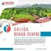 Calida Rehab In Pune