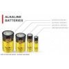 LR20 alkaline batteries
