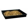 Dried Mealworms Dried Bsfl(Black Solder Fly) Dried Superworms