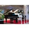 Buy Grand Piano in Dubai, UAE