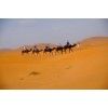 Marrakech to Zagora 2 Days/1 Night Desert Tour - Explore the Moroccan Sahara