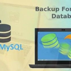 MySQL Data Backup- SugarCRM- SuiteCRM