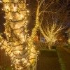 Connectable Warm White & Ice White Outdoor Tree Lights