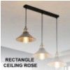 Enhance Your Home's Aesthetic Appeal with a Ceiling Rose The Elegantly Designed and Functional Ceiling Fixture