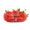 EXPORTING EGYPTIAN STRAWBERRY