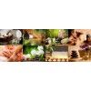 The Lotus Spa, Greater Kailash 2 - Body Massage Centres in Delhi