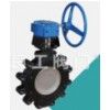 Cast Stainless Steel Butterfly Valve