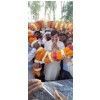 Vijay Bahadur Yadav District Panchayat President Lucknow,